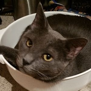 Meet your Posher, Lynette